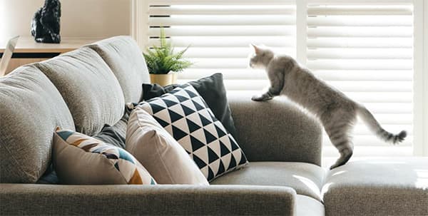 Как выбрать ткань для обивки мебели с домашними животными