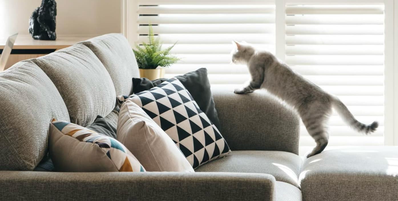 Ткань для мебели с животными