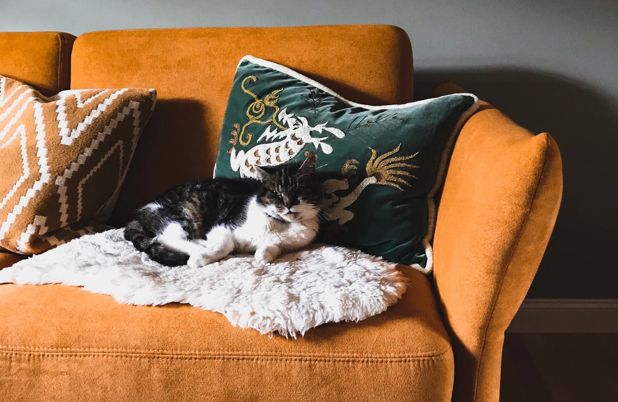 Антивандальные ткани для мебели