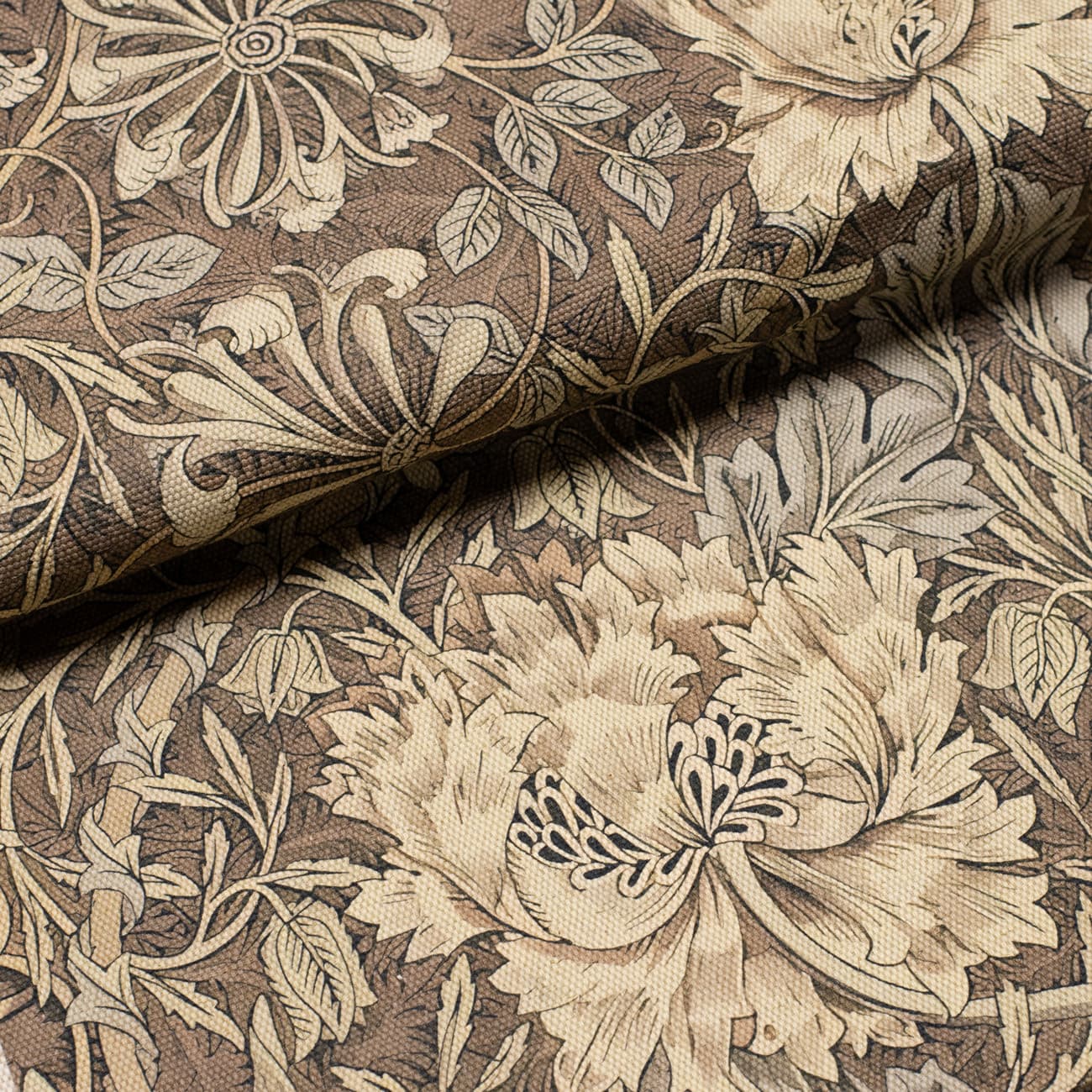 Тюльпан и жимолость