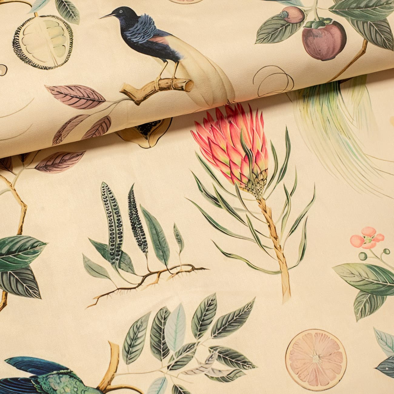 Райские птицы