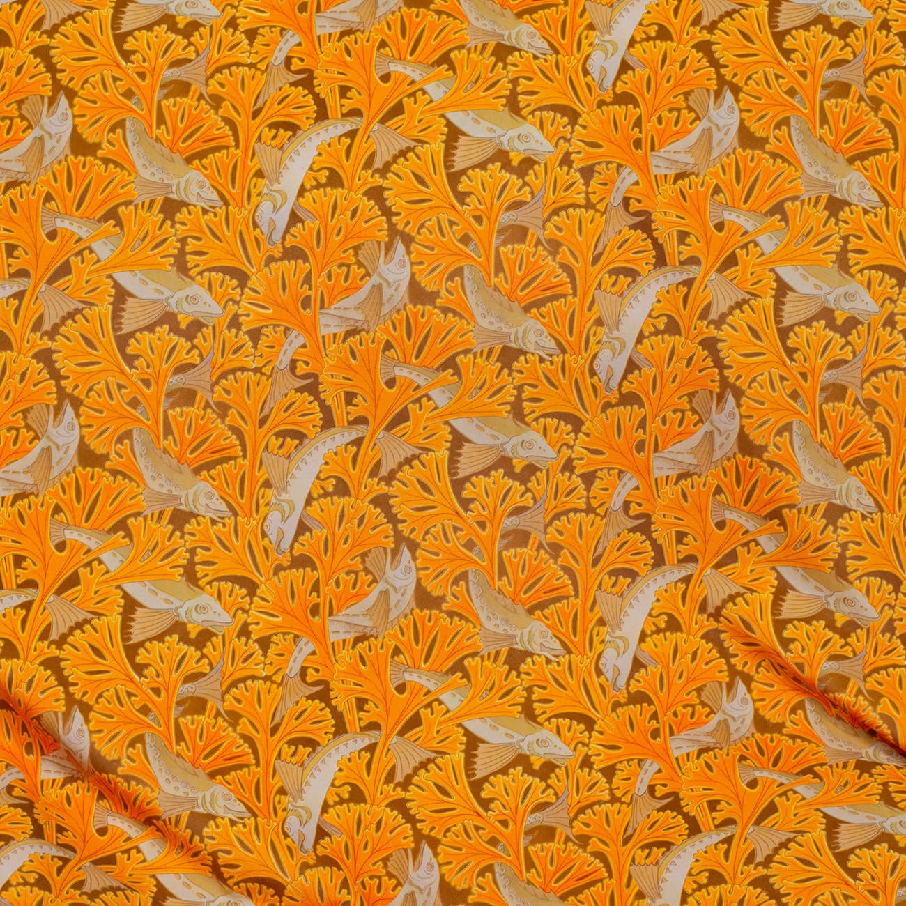 Коралловый риф