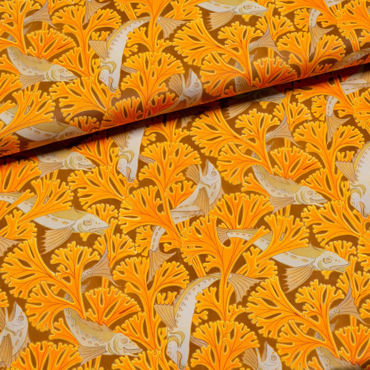 Коралловый риф