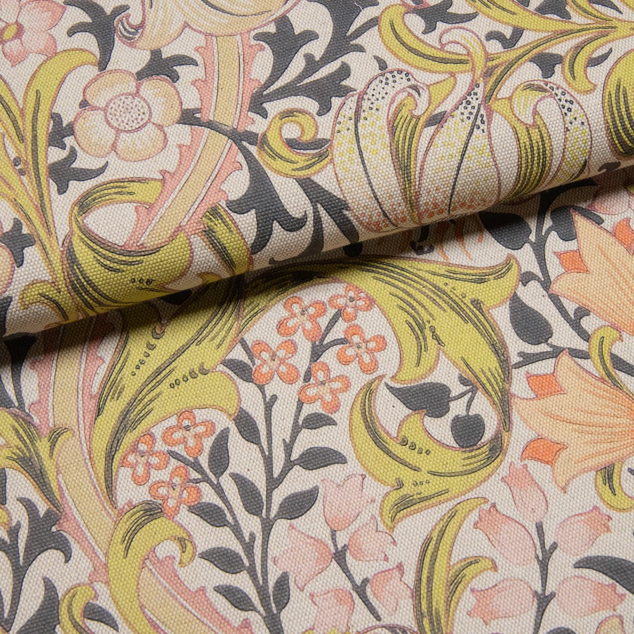 Золотая Лилия