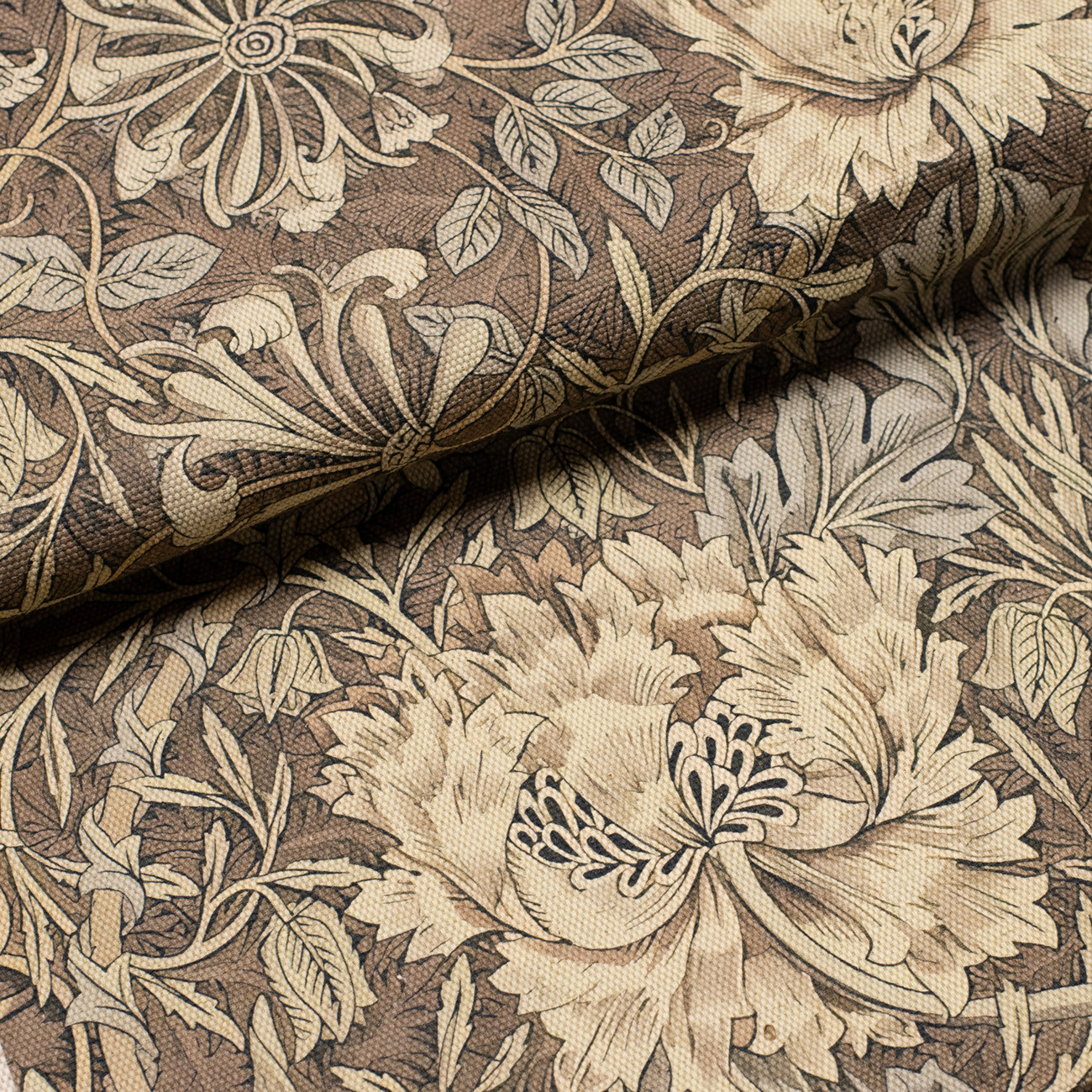 Тюльпан и жимолость