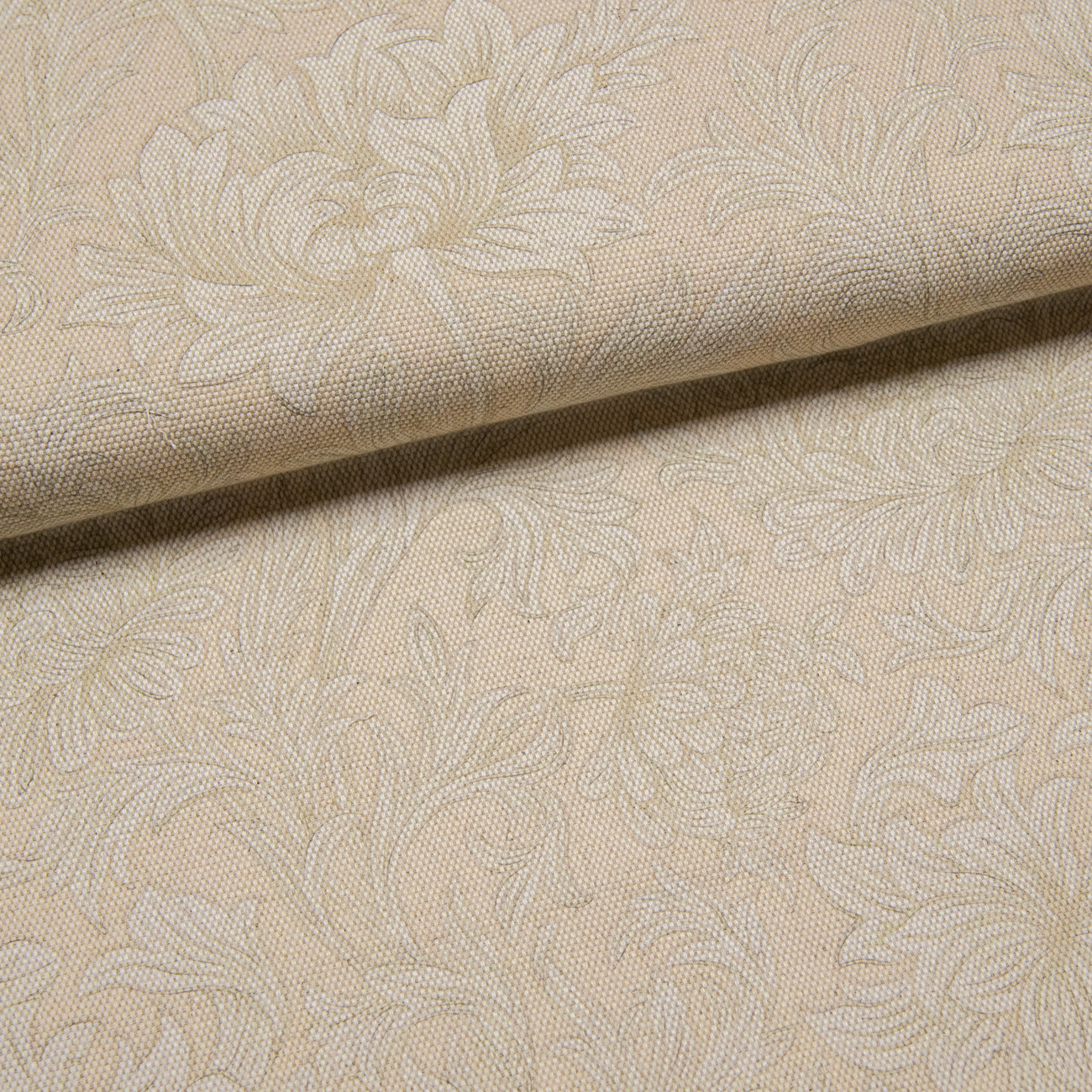 Вьющиеся хризантемы