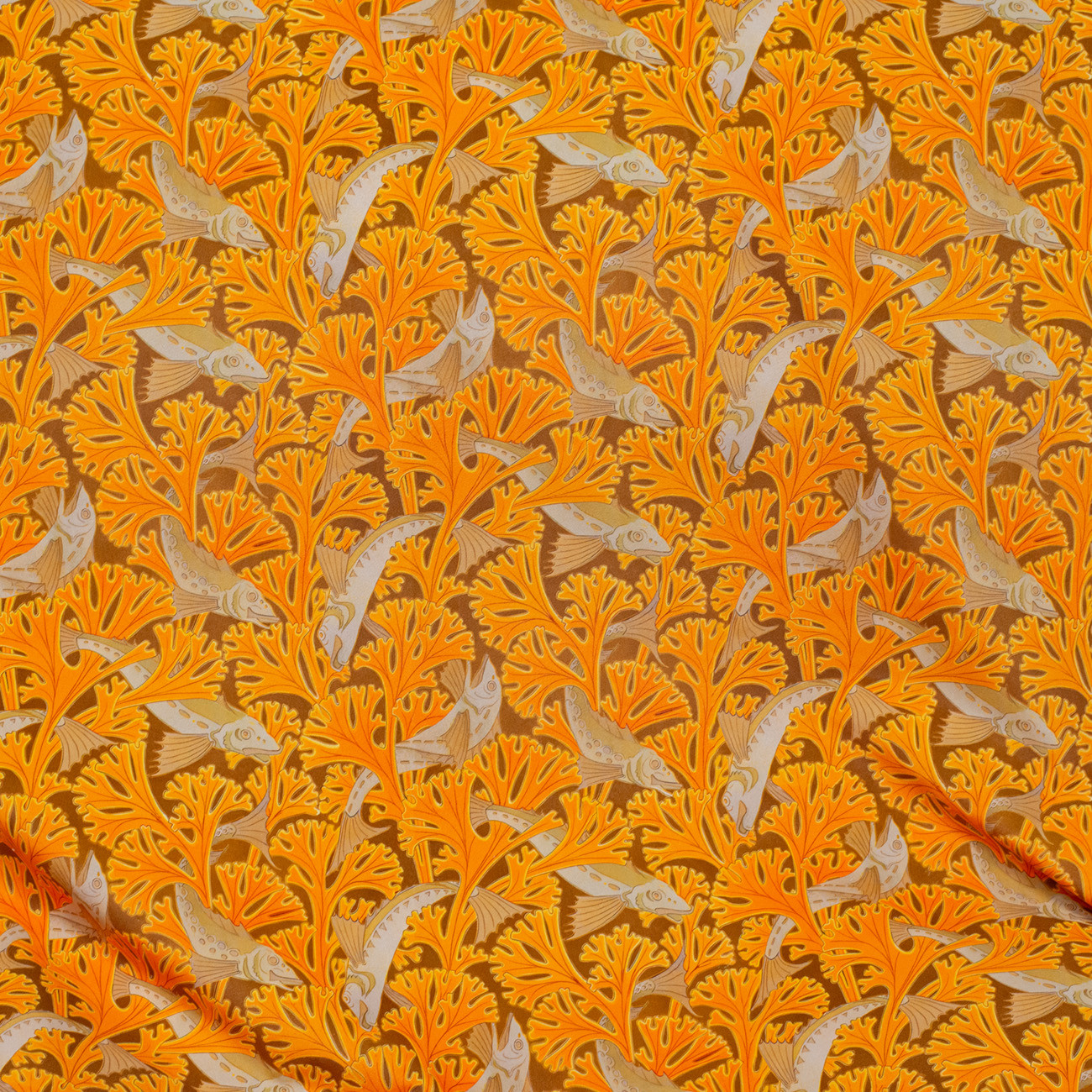 Коралловый риф