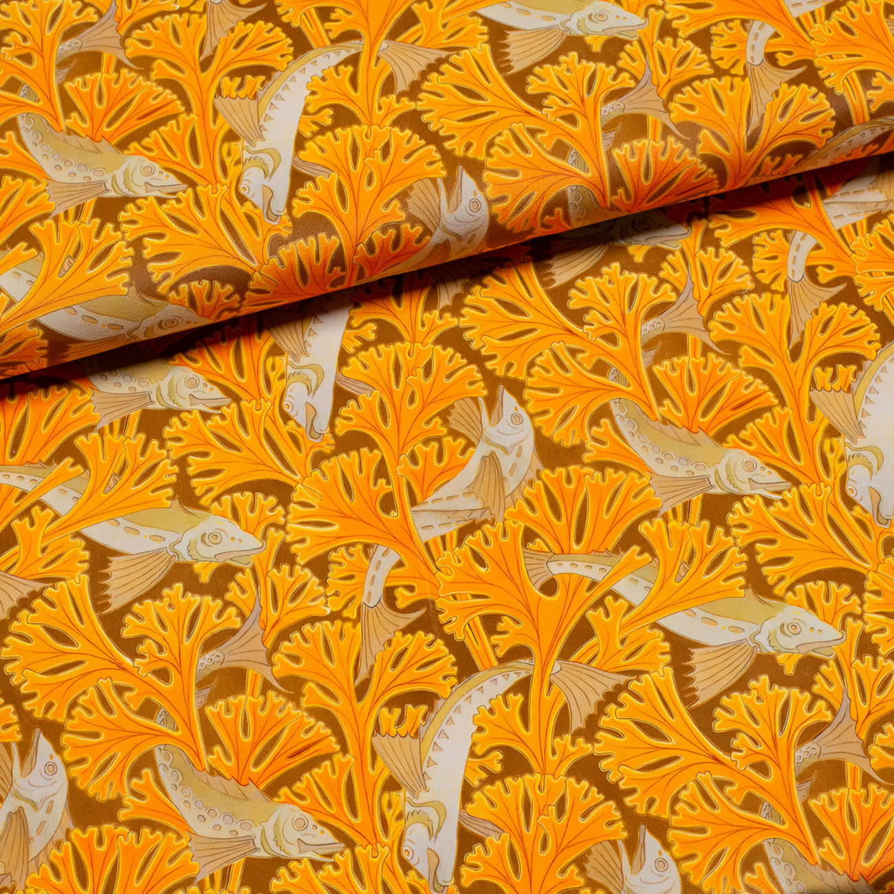 Коралловый риф