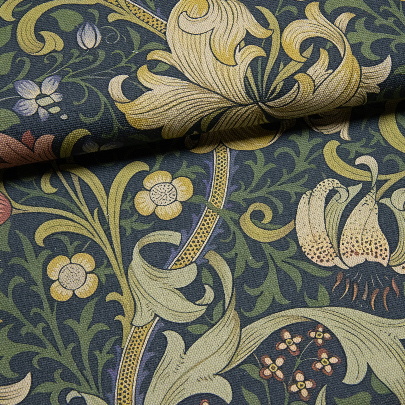 Золотая Лилия