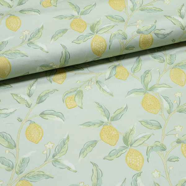 Лимонное дерево