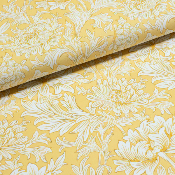 Вьющиеся хризантемы