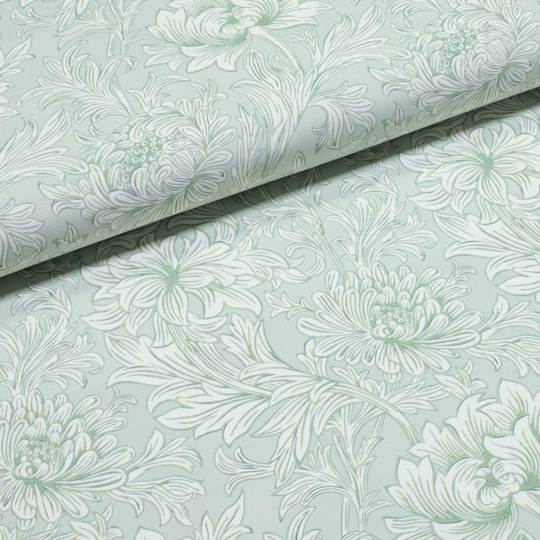 Вьющиеся хризантемы