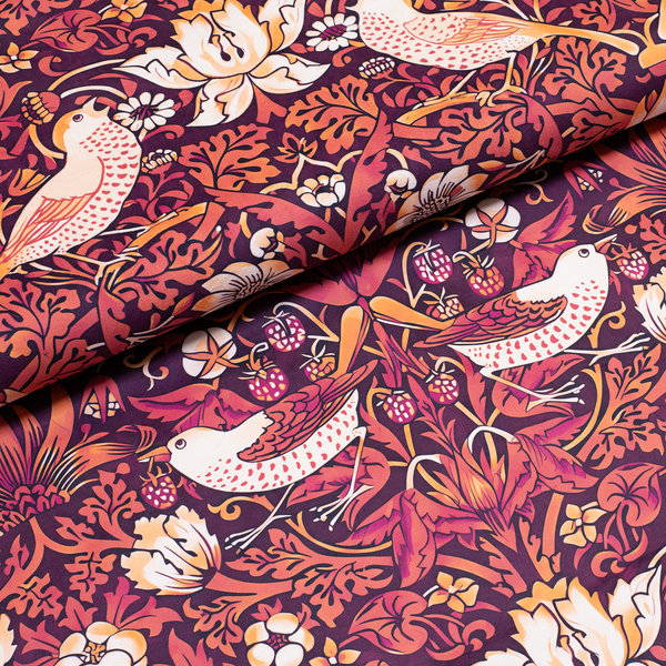 Земляничный воришка