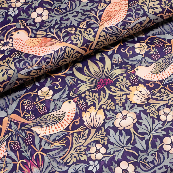 Земляничный воришка